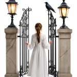 Field Greystone Series Historical Mystery Kindle Book-0